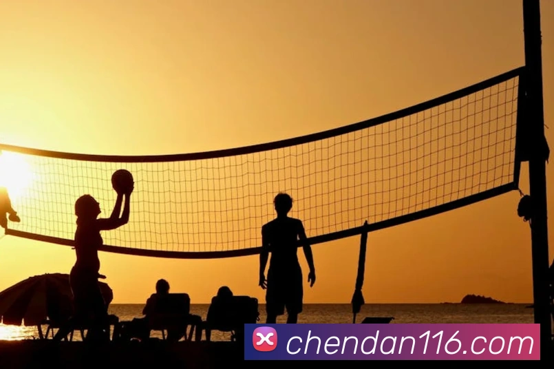 半岛平台在线登录服务体系